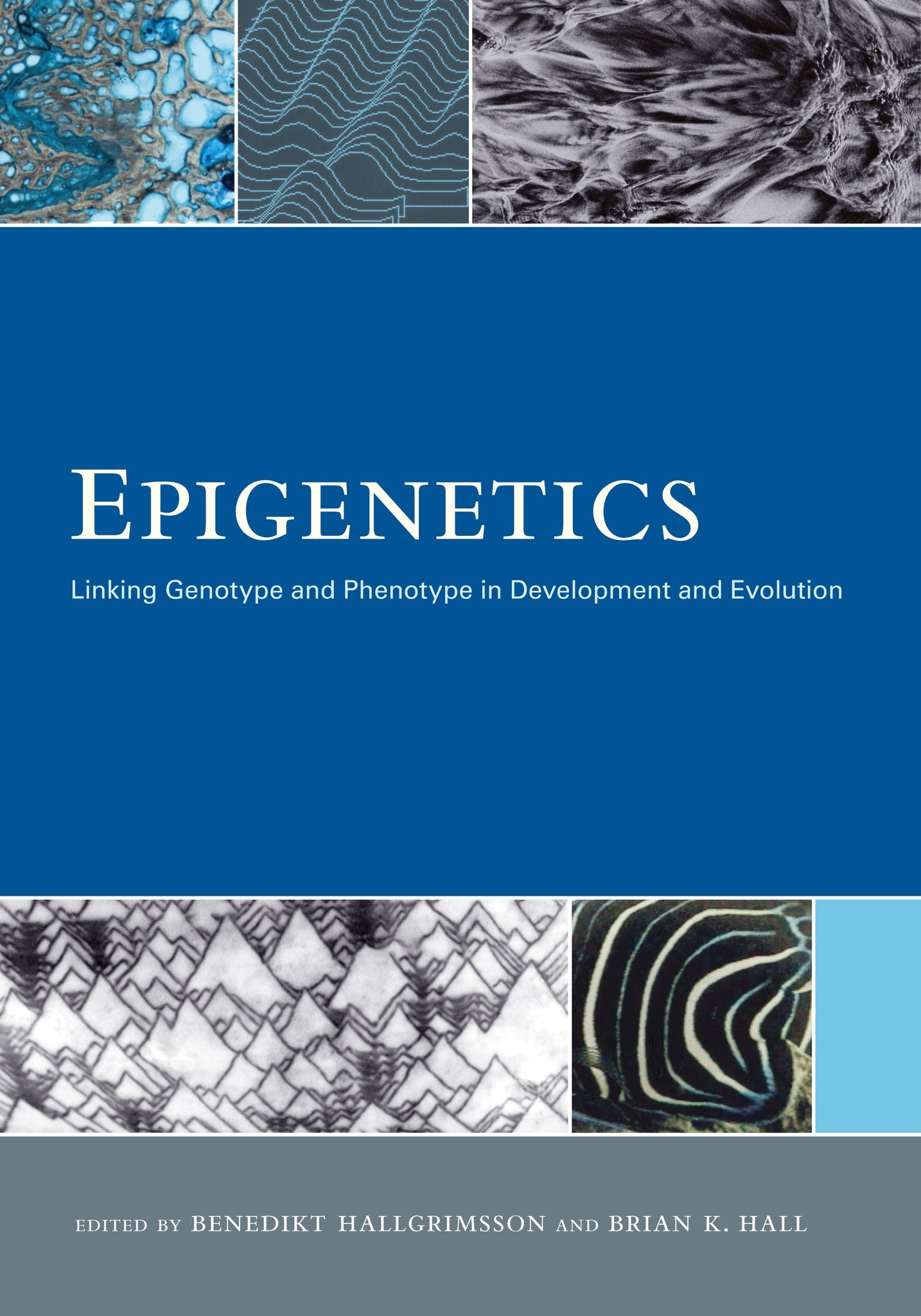 Cover image for Epigenetics ISBN 9780520948822